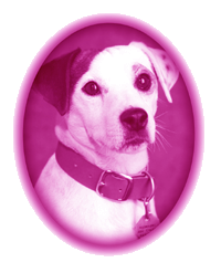 wishbone.gif (29223 bytes)